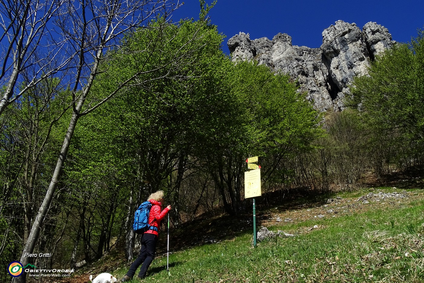 81 Verso la Ferrata del Centenario.JPG